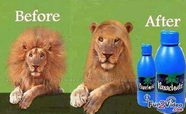 before_and_after_comparison_funny_ad.jpg