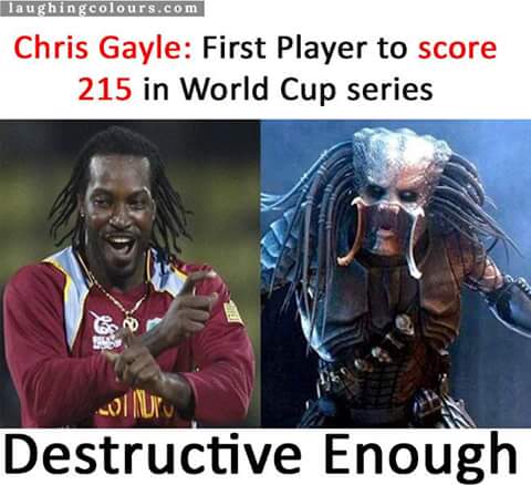 gayle.jpg