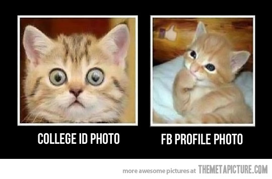 funny_cat_Facebook_profile_photo.jpg