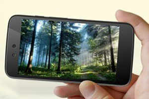 44960635.cms