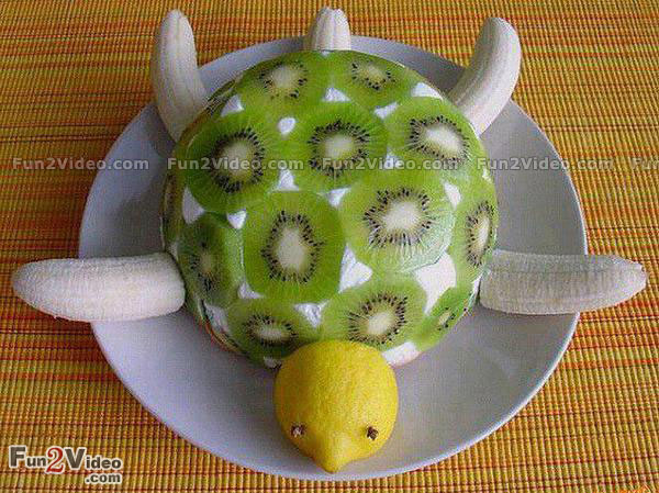 fruits_tortoise_food_art_picture.jpg