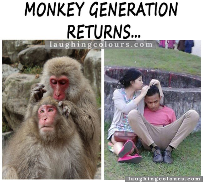 MONKEY_GENERATION_RETURNS.jpg