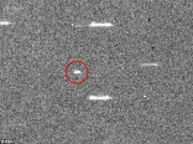2DCC615900000578-0-image-a-1_1445856949999.jpg