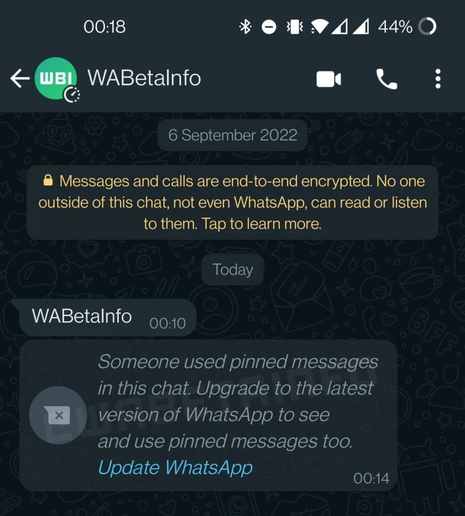WhatsApp pinned messages