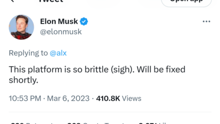 Musk Twitter brittle